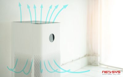 Air Purifier 101: How to Choose, Benefits & More